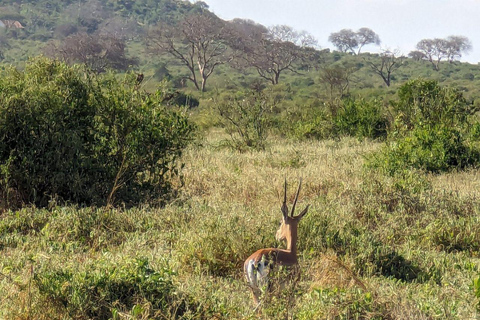Mombasa/Diani: 2-Day Tsavo East Safari with Meals Private day tour to Tsavo East National Park - VAN