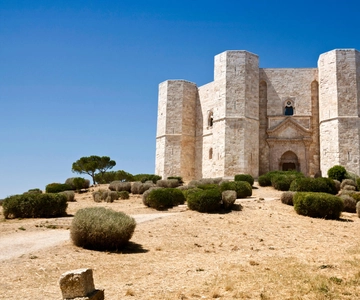 Biglietto d'ingresso prioritario per Castel del Monte