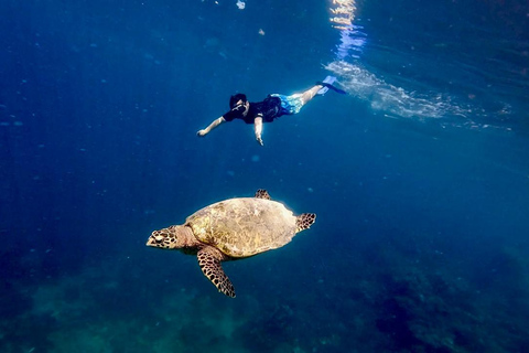 Lombok: 5 Gili Islands Snorkeling Tour With Private Boat Private Small Group With CAR