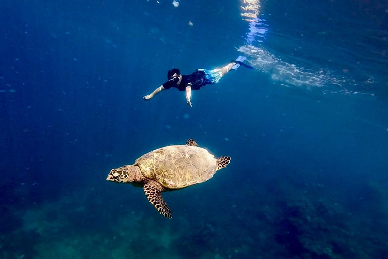 Lombok: 5 Gili Islands Snorkeling Tour With Private Boat Private Small Group With CAR