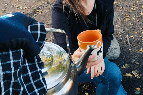 Oslo’s Mountain Flavors: Forest Walk & Bonfire Tasting