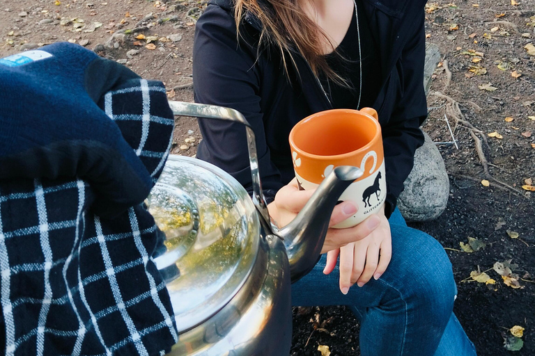 Oslo’s Mountain Flavors: Forest Walk & Bonfire Tasting