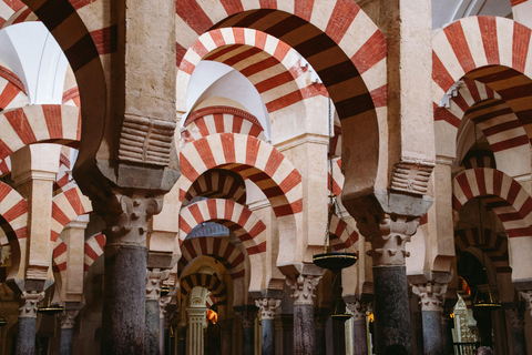 Cordoba: Mosque-Cathedral and Jewish Quarter Guided Tour