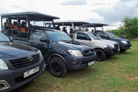 From Waligama, Mirissa, Tangalle, Yala safari & drop to Ella Yala Full day safari