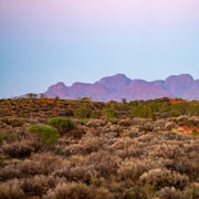 Kata Tjuta: Valley of the Winds Circuit Hike
