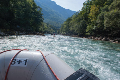 Desde Kotor: Montenegro Tara Rafting