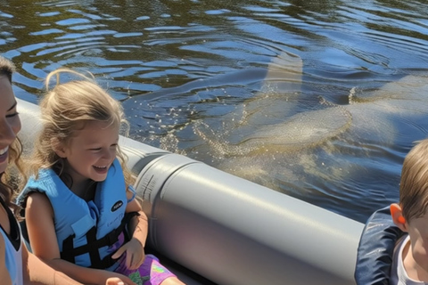 Cocoa Beach: Dolphin & Manatee Small Group Eco Boat Tour