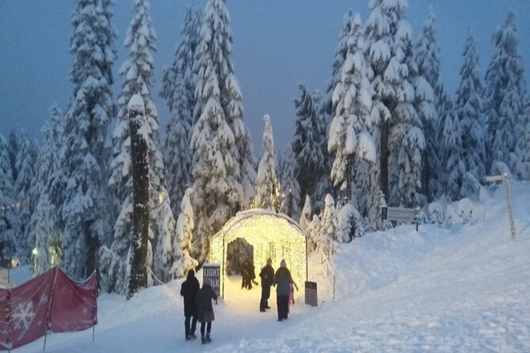 Vancouver Capilano Canyon ljus&amp;topp av julen i Grouse