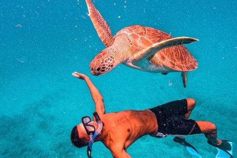 Von Mindelo aus: São Vicentes bezaubernde Meeresschildkröten-Schnorchelmöglichkeiten