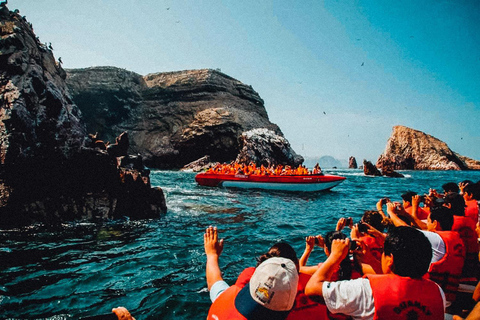 Desde Ica: Islas Ballestas y Reserva Nacional de Paracas ...