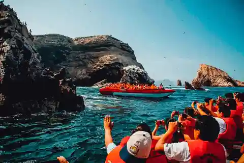 Día completo en las Islas Ballestas y la Reserva de Paracas