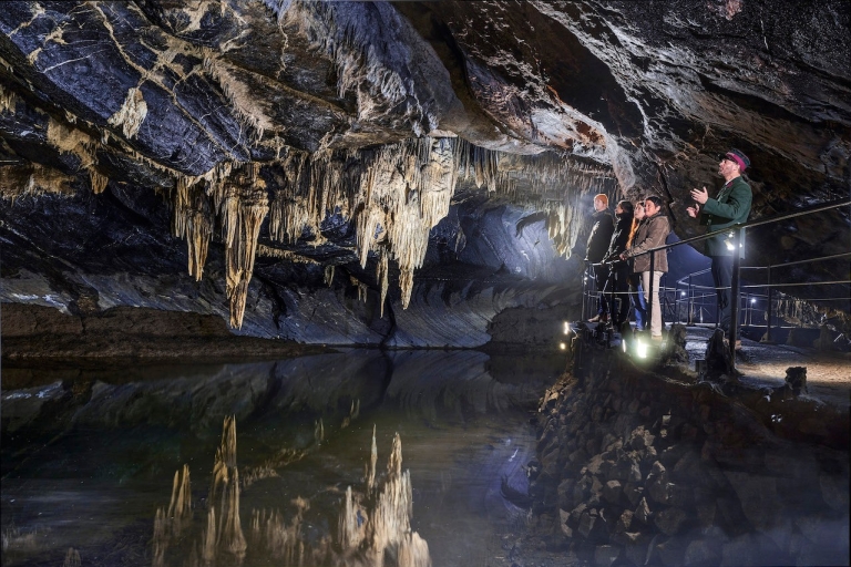 Rochefort: Bilet wstępu do jaskiń Han i Wildlife Park