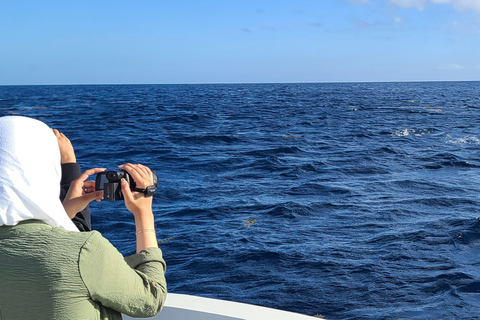 Dauphins, baleines, plongée en apnée et déjeuner sur l'île des Bénitiers