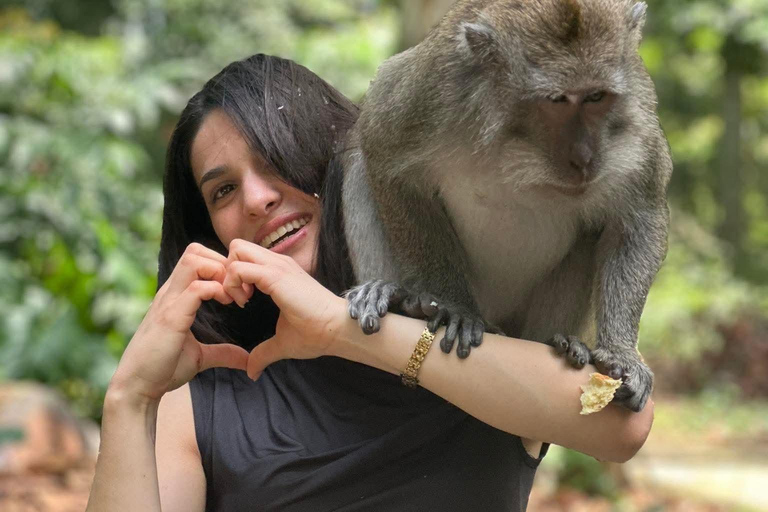 Bali: Swing, Koi Photo Boat, Monkey Forest, & Waterfall Private tour with ticket include