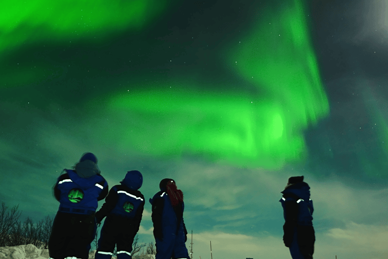 Tromsø: Small-Group Aurora Tour with Free Photos (8 Hours)