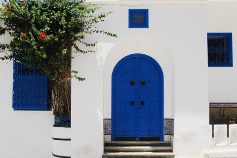 Coastal Gems of Tunisia: Private Tour with Lunch