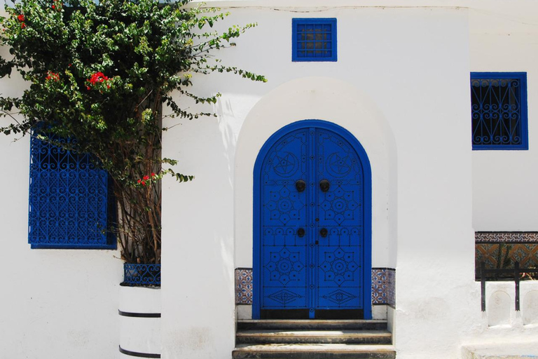 Coastal Gems of Tunisia: Private Tour with Lunch