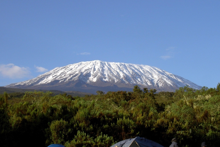 Moshi: beklimming van de Kilimanjaro via de Machame RouteMoshi: Kilimanjaro beklimmingstocht via Machame Route 6 dagen