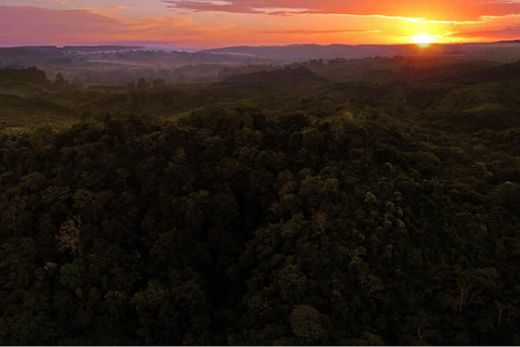 Villanueva: Fundación Loros Sunset Tour with Winetasting