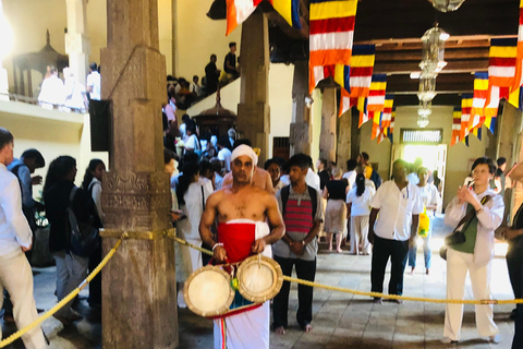 Kandy privet day tour z pinnawala i plantacją herbatyZaczynając od obszaru Negombo