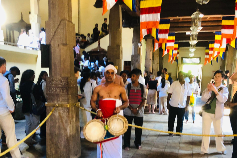 Kandy privet day tour z pinnawala i plantacją herbatyZaczynając od obszaru Negombo