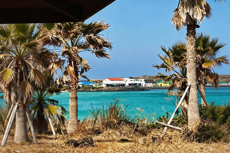 Jeju: Udo Island, Seopjikoji & Hidden Gems Guided Tour