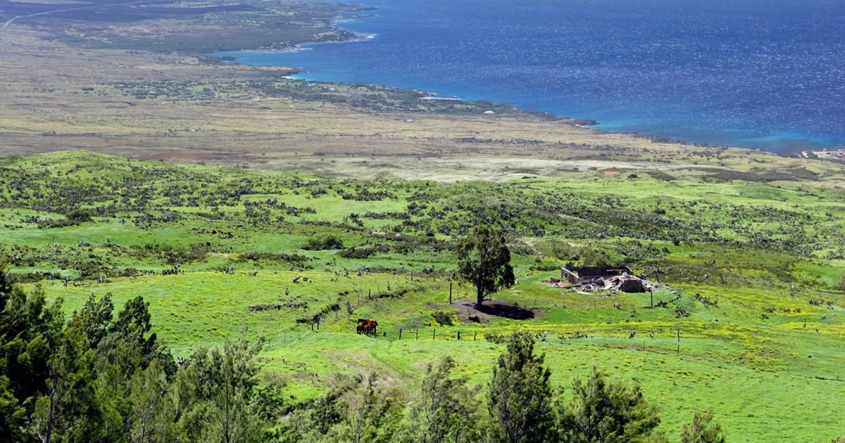 Big Island, Hawaii Polaris Slingshot Rental GetYourGuide