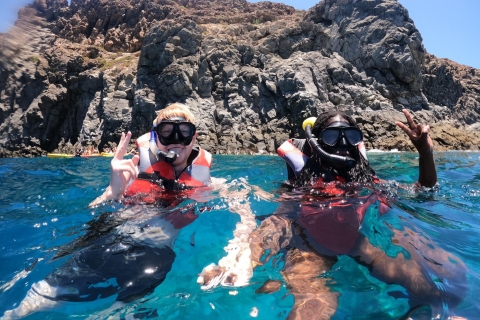 Tenerife : sortie kayak et snorkeling avec des tortues