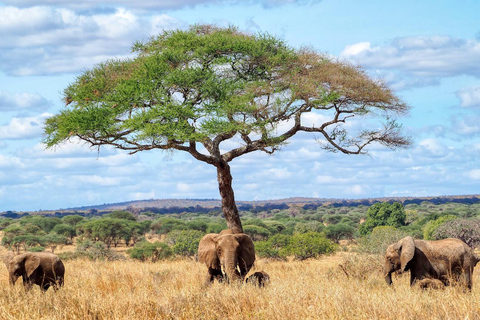 Safari de 3 dias na Tanzânia