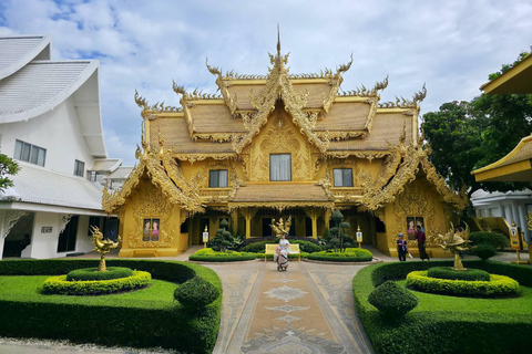 Chiang Mai: Chiang Rai Temples & Singha Park Day Trip