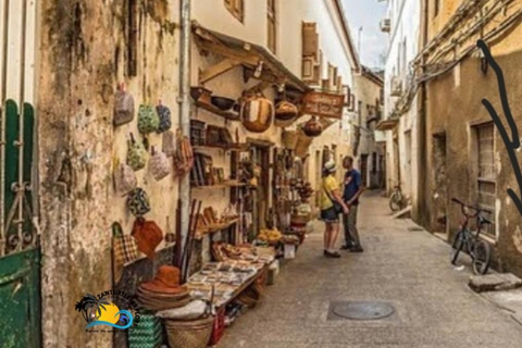 Swim with Turtles at The Lagoons Zanzibar & Stone Town Tour Transfer Not Included: Meeting Point at Stone town Only