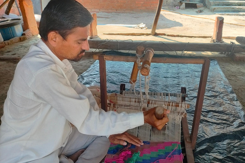 Aldea Bishnoi: recorrido de safari