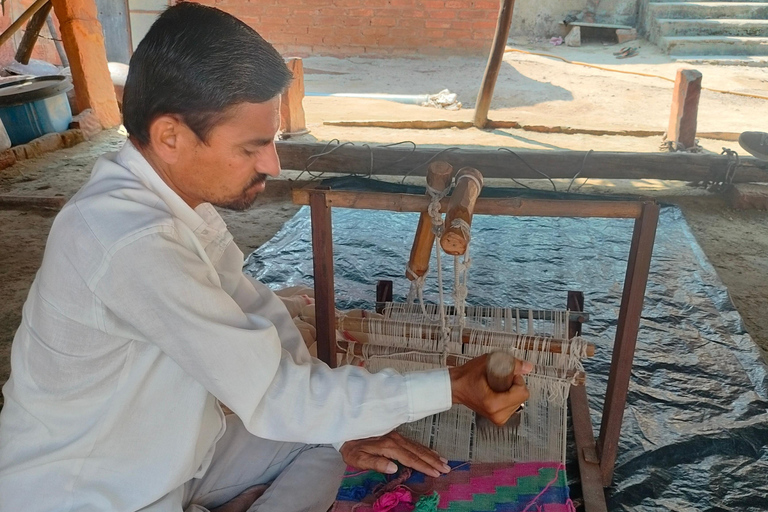 Aldea Bishnoi: recorrido de safari