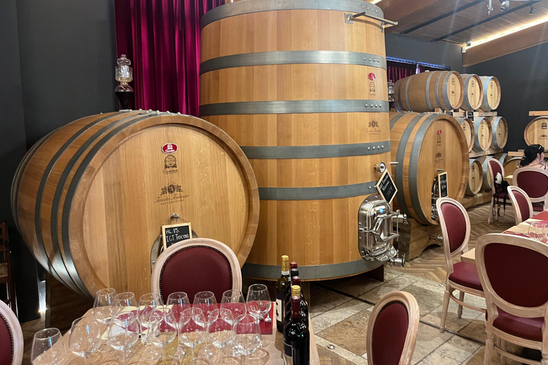 Florence: Pisa, Siena, & San Gimignano Day Trip with Lunch VIP SMALL GROUP