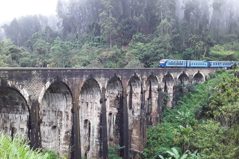 From Colombo: 10-Day Private Sri Lanka Tour with Transfers