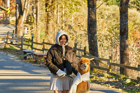 Seoul: Alpaca World, Railbike and opt Garden of Morning Calm Alpaca+Bike Shared Tour, Meet at Dongdaemun