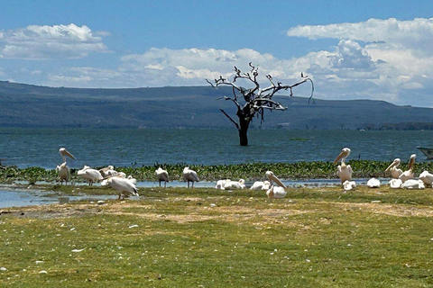 Nairobi:Lake Naivasha, Hell’s Gate & Crescent Island Tour