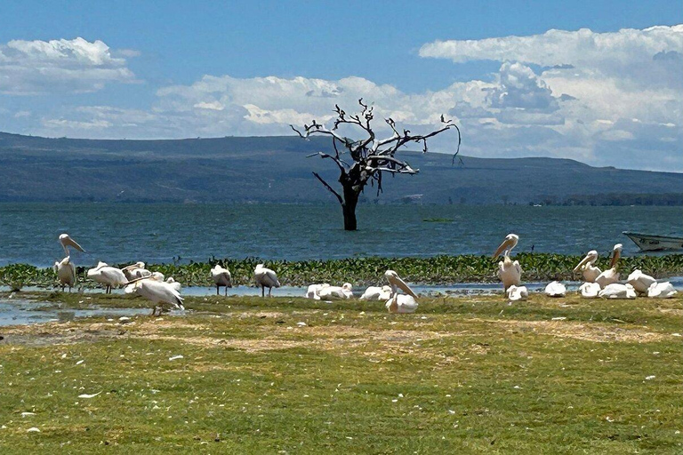 Nairobi:Lake Naivasha, Hell’s Gate & Crescent Island Tour