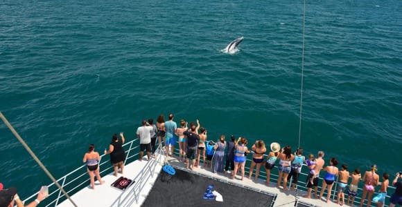 Catamaran Adventure in Manuel Antonio