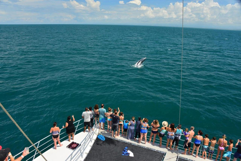 Catamaran Adventure in Manuel Antonio Catamaran from San Jose