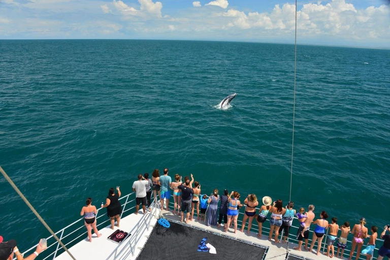 Catamaran Adventure in Manuel Antonio Catamaran from San Jose
