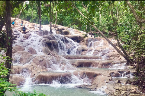 Montego Bay: Horseback Riding Dunn’s River Fall and Shopping