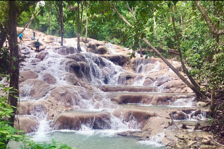 Montego Bay: Horseback Riding Dunn’s River Fall and Shopping