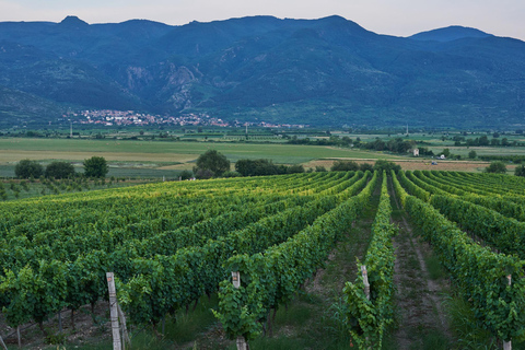 From Sofia: Krichim Palace and Wine Tasting Day Tour