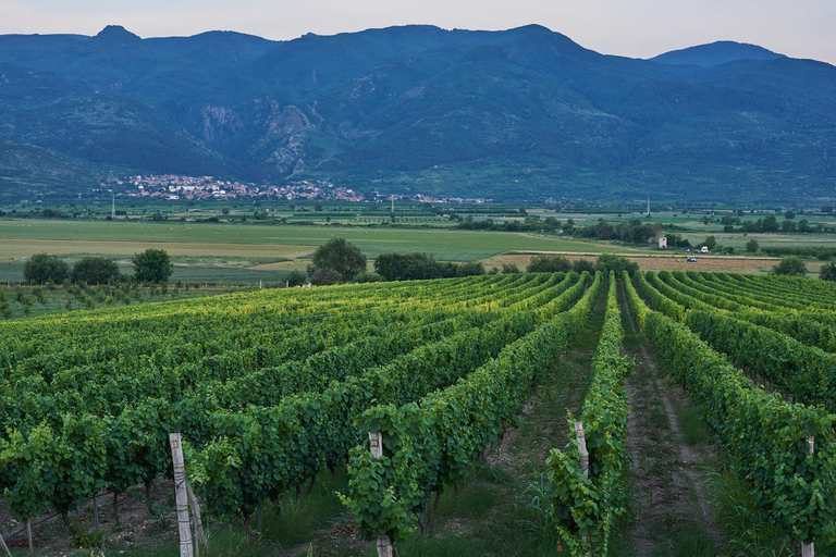 From Sofia: Krichim Palace and Wine Tasting Day Tour
