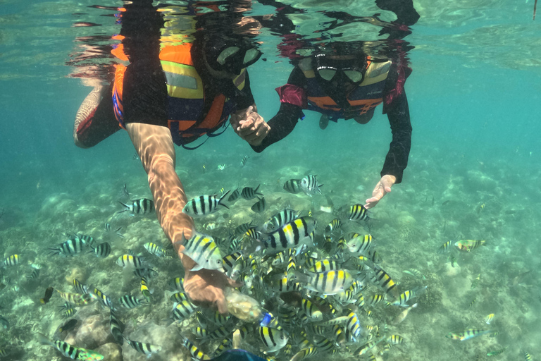 Lombok Secret Gilis Snorkeling –Jet Ski Available as Add-On