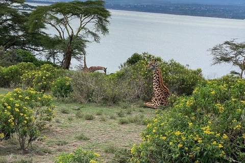 Nairobi: Crescent Island Sanctuary Day Trip with Lunch Nairobi: Crescent Island Sanctuary private day Trip