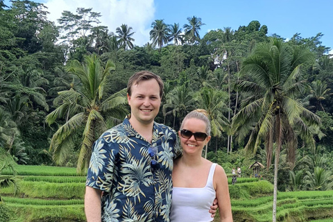 乌布猴林、梯田、秋千、寺庙和瀑布乌布猴林、水稻梯田、秋千、寺庙和瀑布