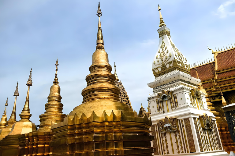 From Bangkok: Ayutthaya Guided Tour with Lunch