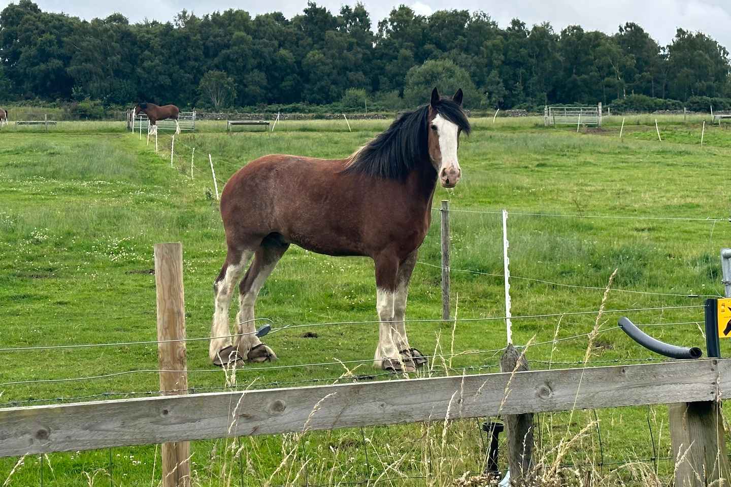 Loch Ness,Cawdor Castle,Sitios de Outlander y más desde Inverness